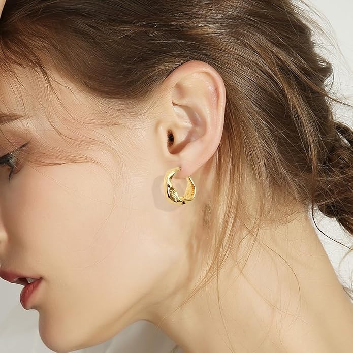 Twist Hoop Earrings - Nonstop Jewel 